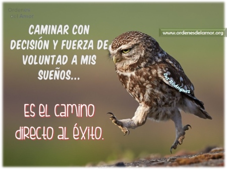 Siguiendo tu Vocación Logra el éxito