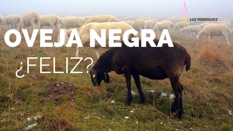 ¿Eres la "Oveja Negra" de tu familia?